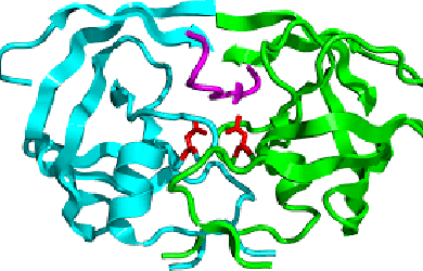 Quy trình tạo cơ chất peptide huỳnh quang đặc hiệu của protease HIV-1